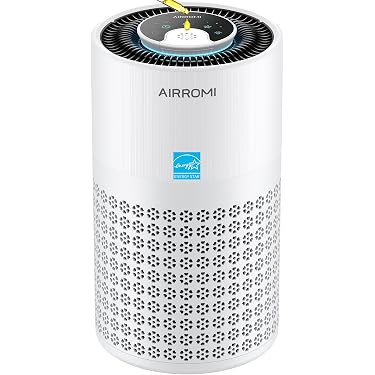 Amazon.co.jp 最新リリース: ポータブル空気清浄機 の新着ランキングです。
